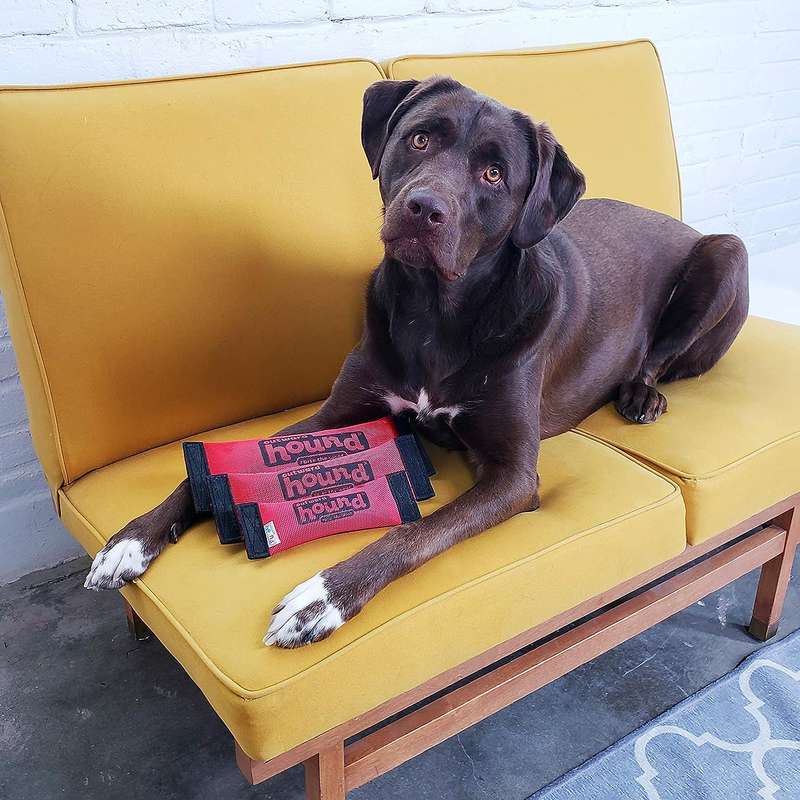 Outward Hound Firehose Squeak-N-Fetch