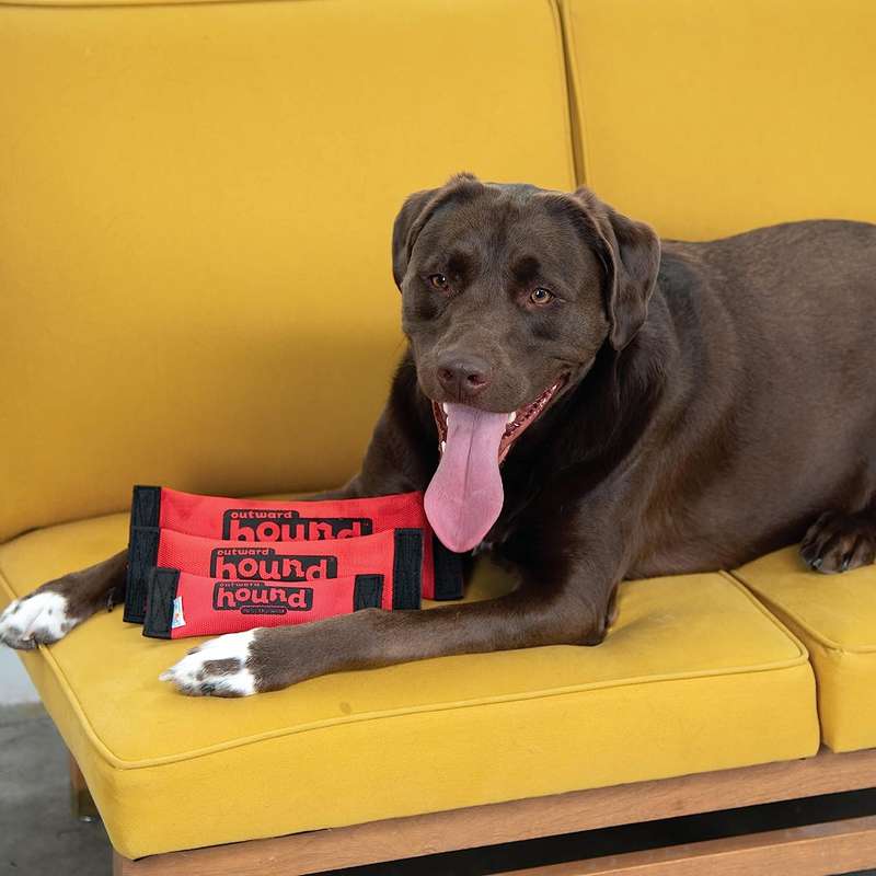 Outward Hound Firehose Squeak-N-Fetch