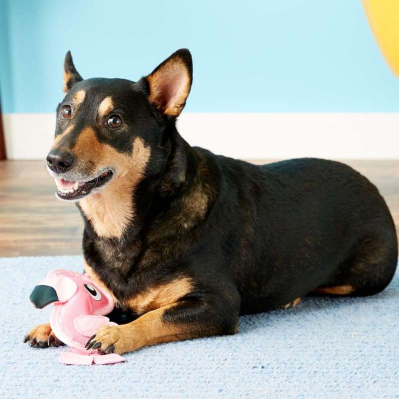 Outward Hound Fire Biterz Flamingo Small