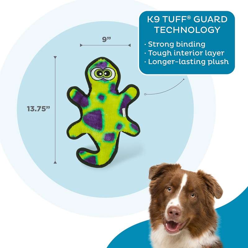 Outward Hound Durablez Gecko 2 sqk Green/Purple