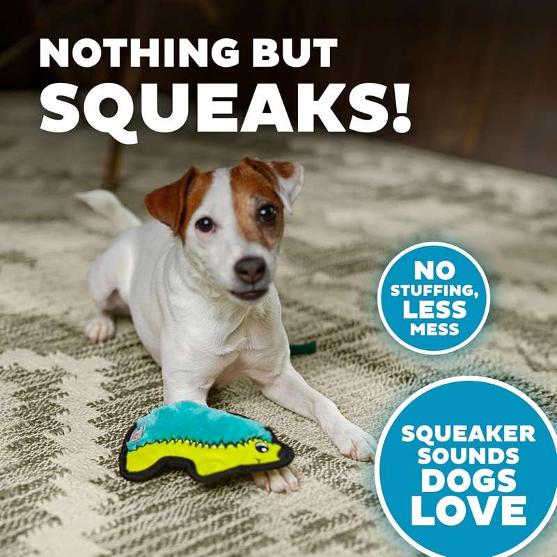 Outward Hound Durablez Hedgehog