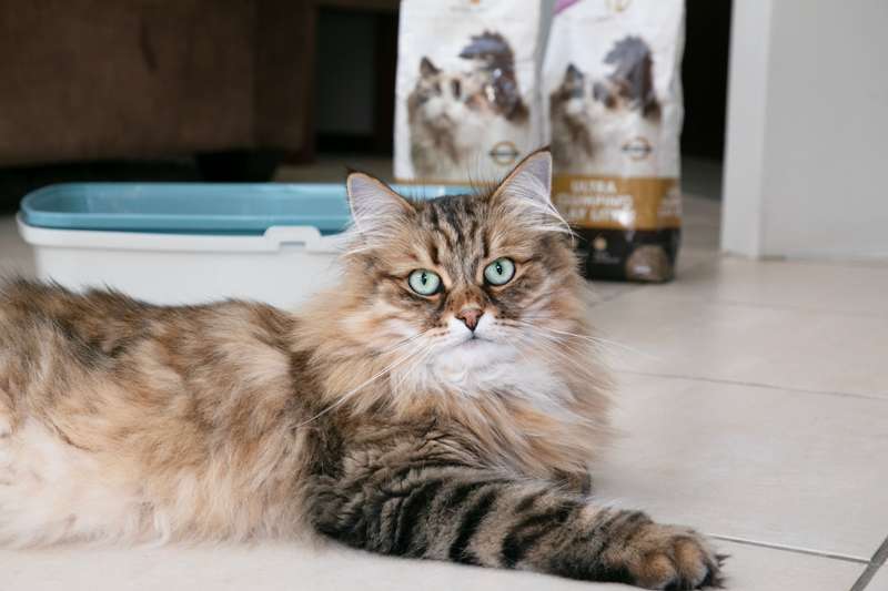 Regal Ultra Clumping Cat Litter Bulk Deal (5kg x 3 bags)