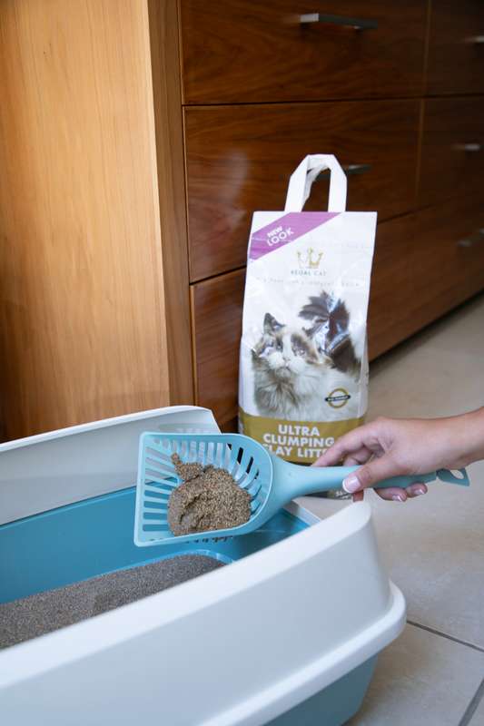 Regal Ultra Clumping Clay Litter