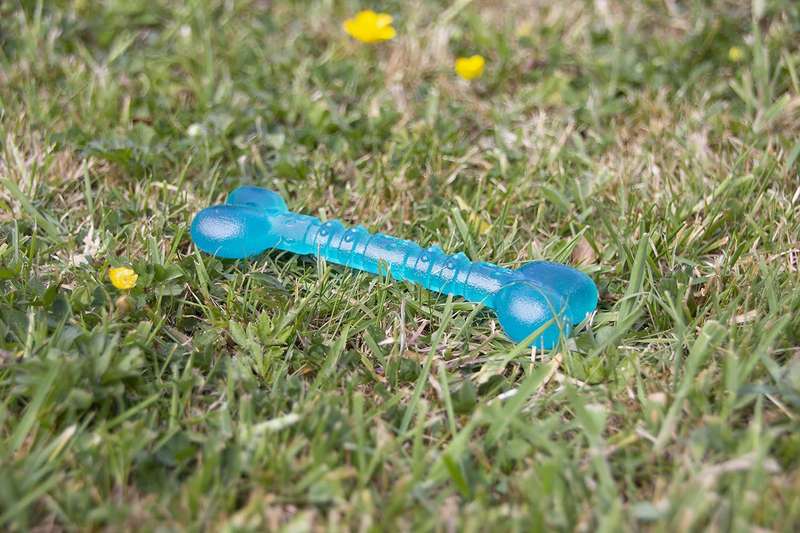 BioSafe Puppy Bone (12cm)