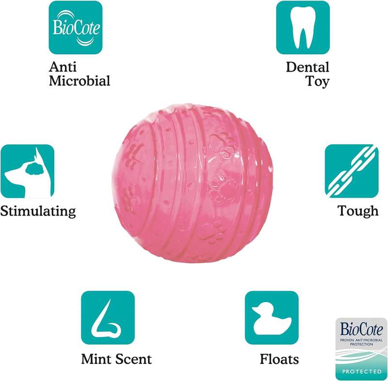 BioSafe Puppy Ball