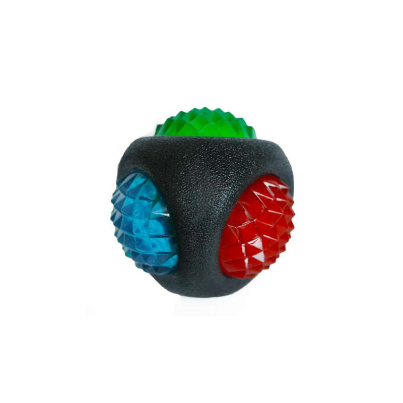 Jolly Doggy Catch & Flash Ball