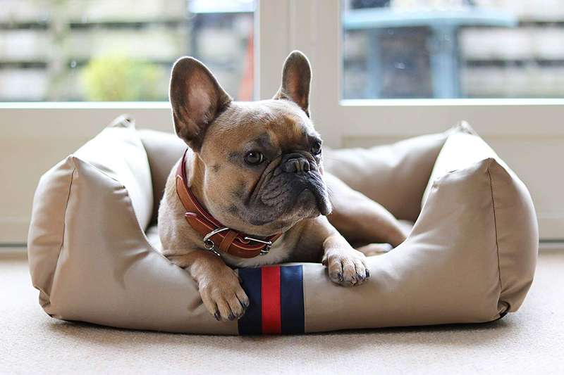 Rosewood Designer Water-resistant Pet Bed