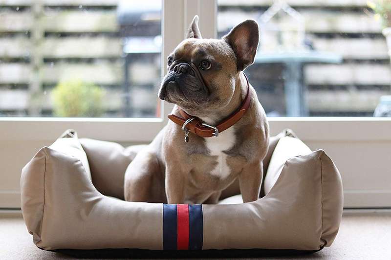 Rosewood Designer Water-resistant Pet Bed