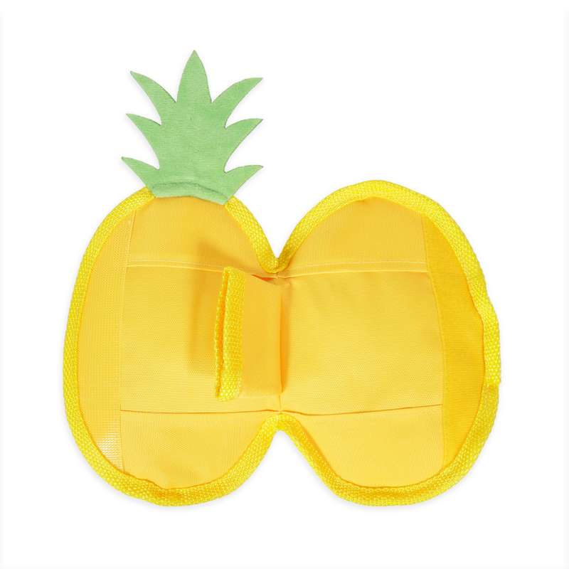 Pineapple Hide n  Treat Toy