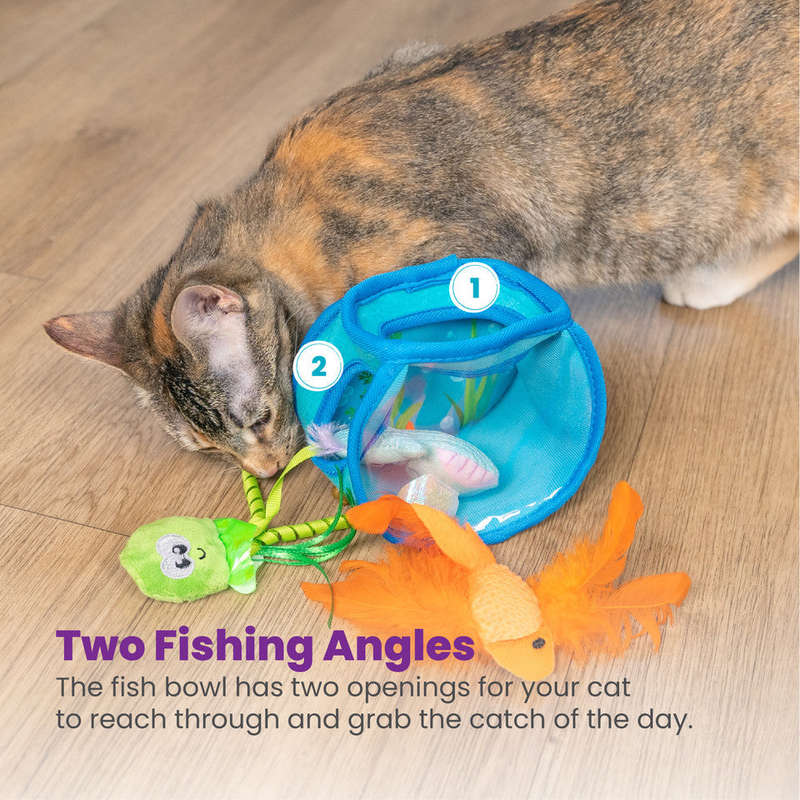 Hide & Seek Fish Bowl