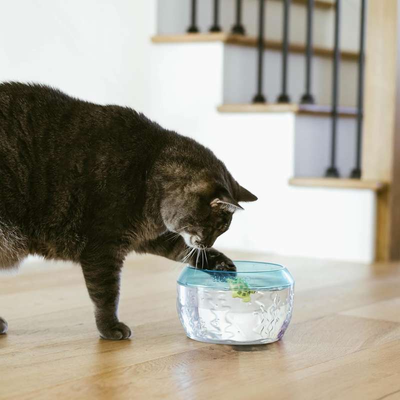 Meow-smerizing Fish Bowl