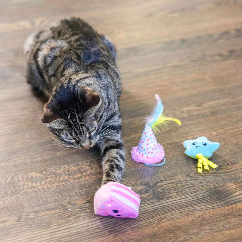 Happy Purrthday Birthday Plush Toys 3pk