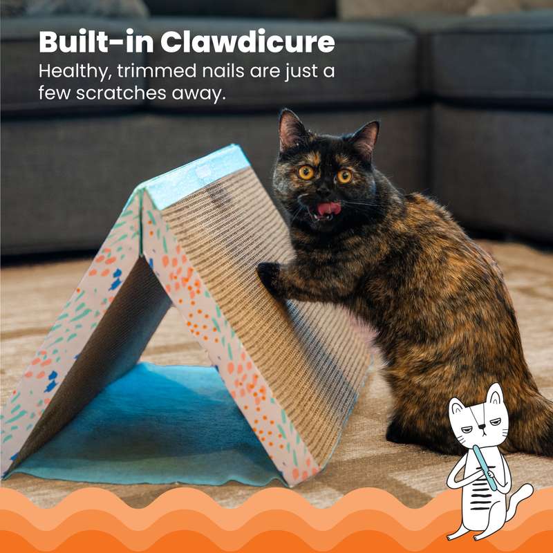 Fold Away Scratch Tunnel