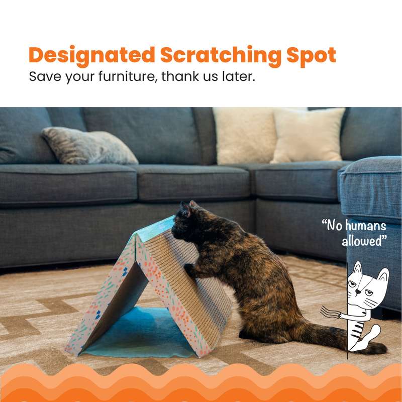 Fold Away Scratch Tunnel