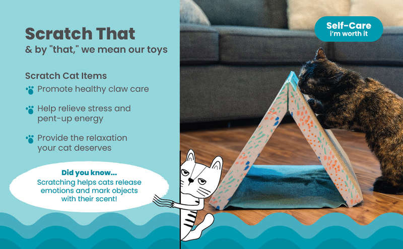 Fold Away Scratch Tunnel