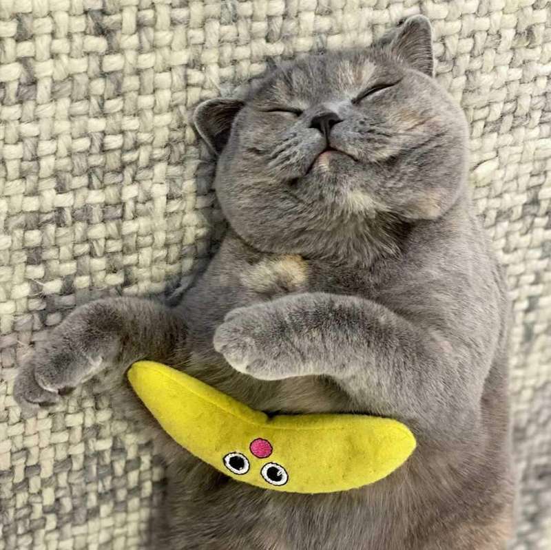 Dental Banana