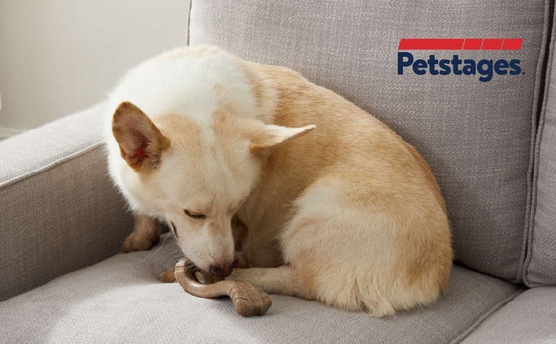 Petstages Dogwood Flip & Chew Bone
