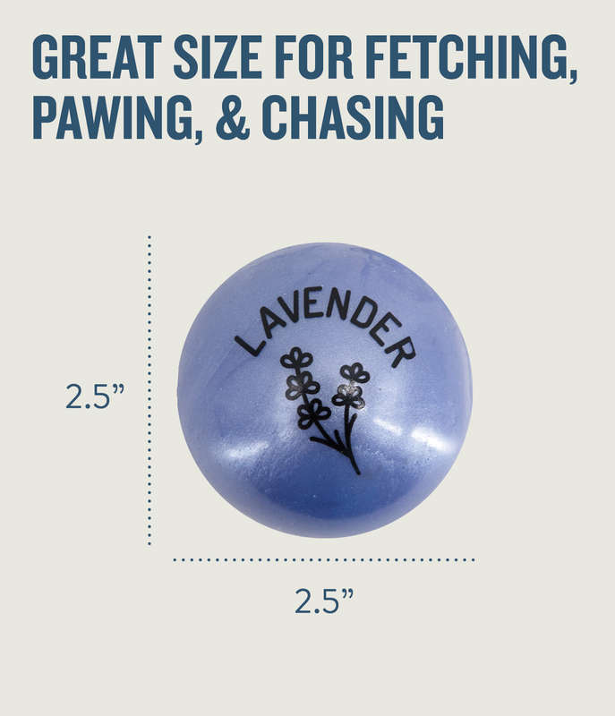 Planet Dog Orbee-Tuff Essentials Scented Ball Treat Dispenser