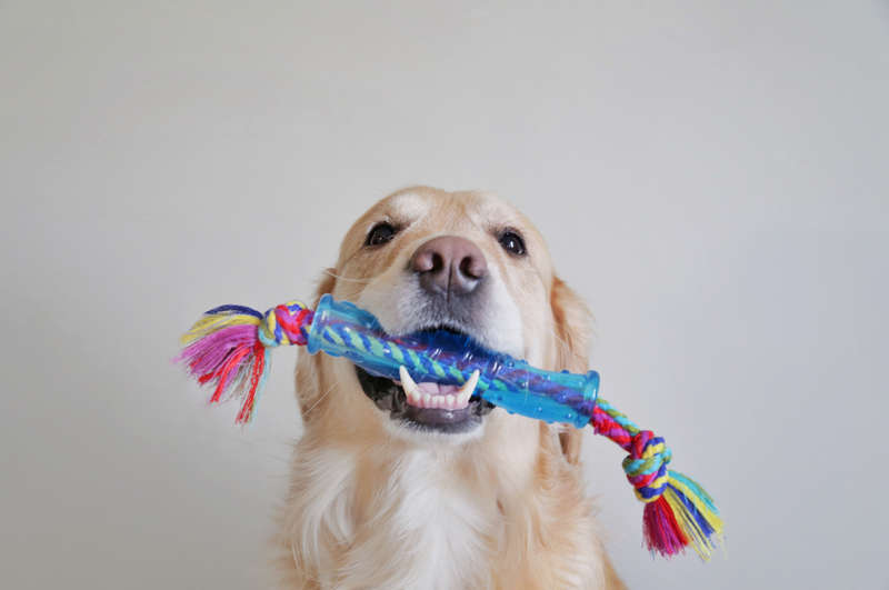ORKA Stick