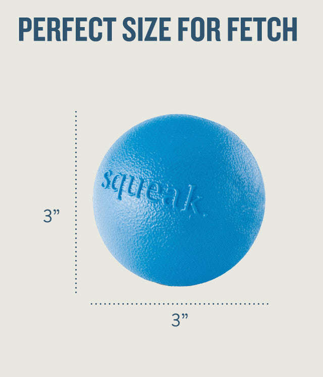 Petstages Planet Dog  Squeak Ball - Blue / Orange
