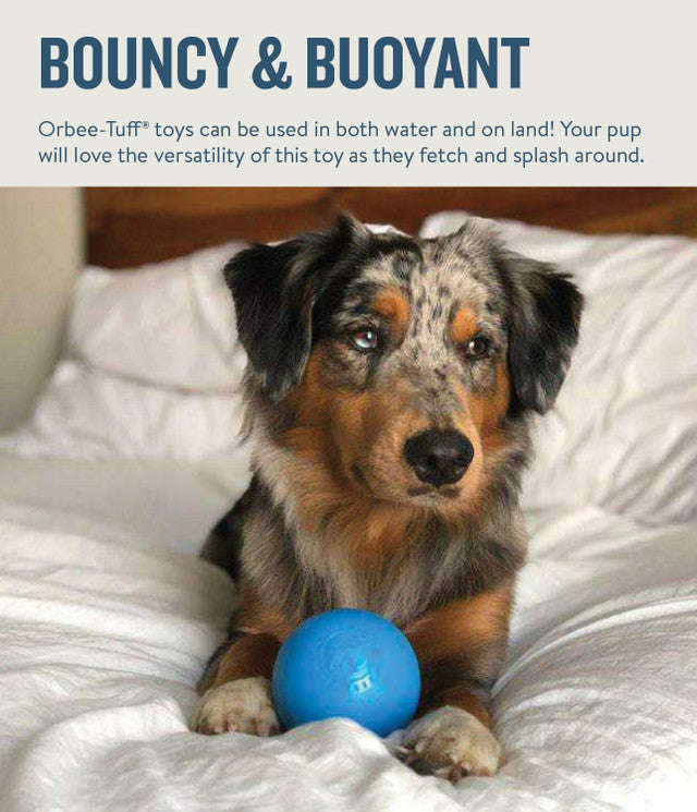 Petstages Planet Dog  Squeak Ball - Blue / Orange