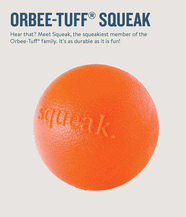 Petstages Planet Dog  Squeak Ball - Blue / Orange
