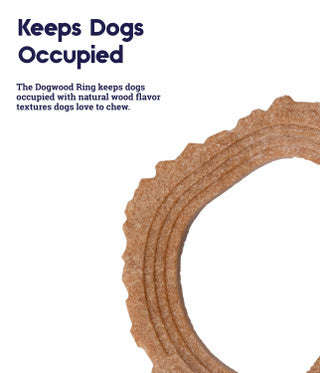 Dogwood Ring