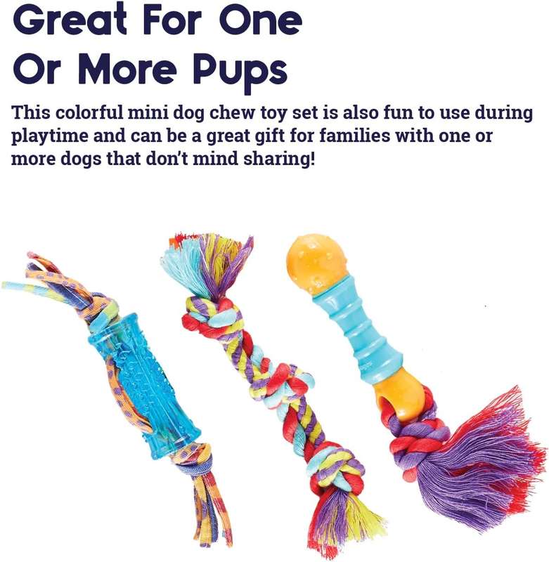 Mini Dental Chew Pack