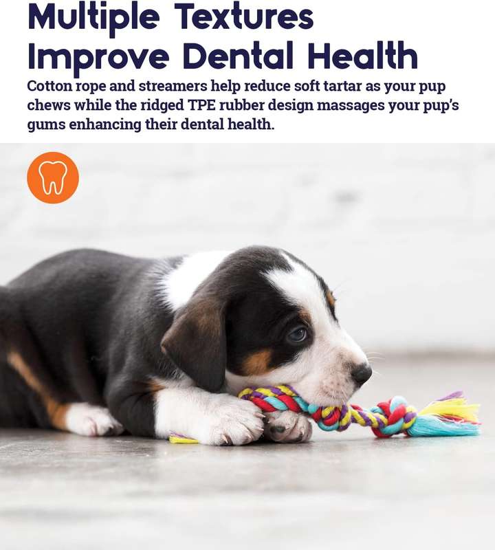 Mini Dental Chew Pack