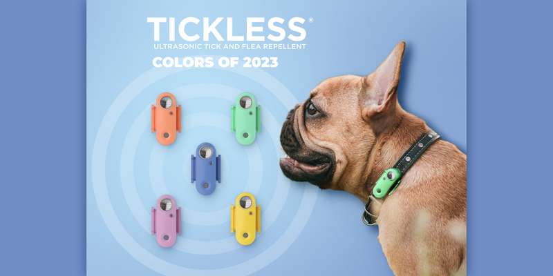 Tickless Mini Dog