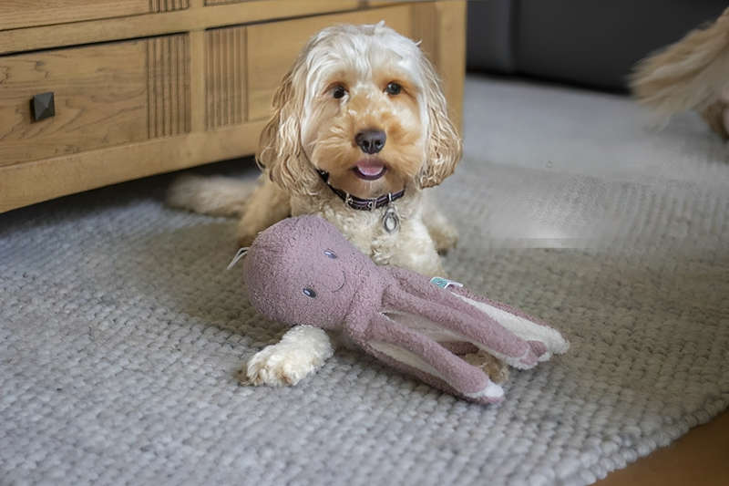 Tufflove Octopus Small