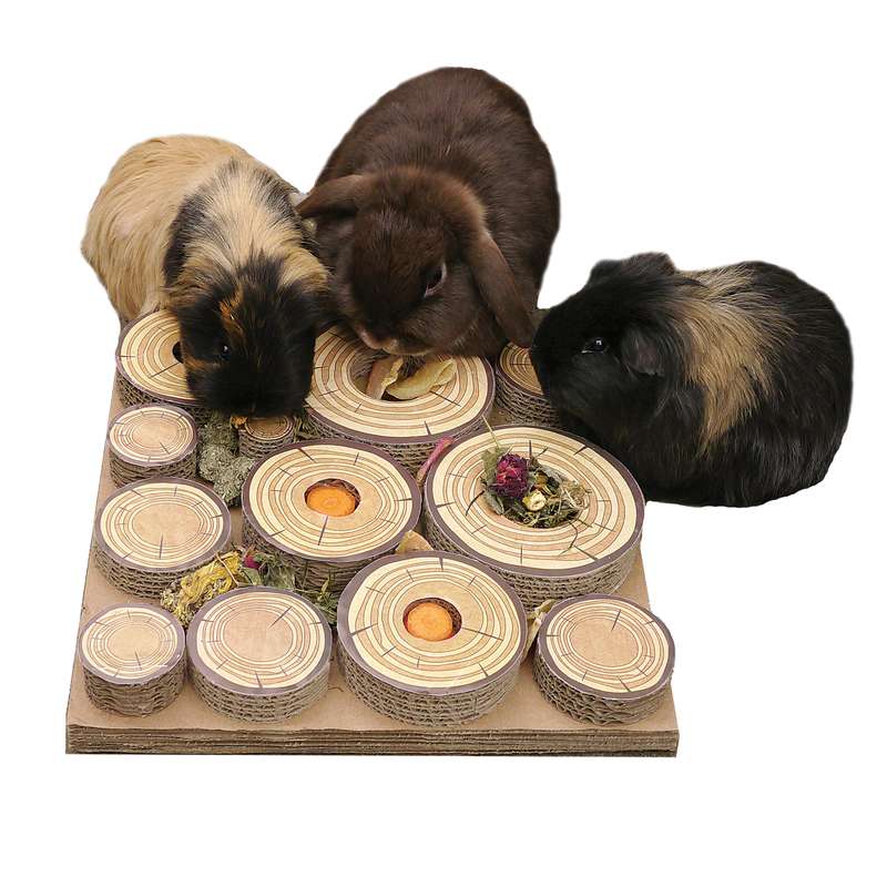 Naturals Maze-a-log Treat Challenge