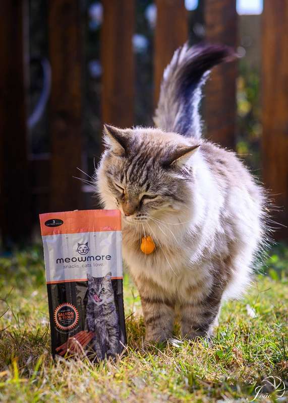 Meow More Cat Treat Sticks (15g)