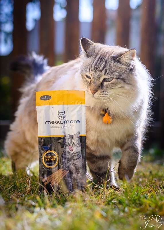 Meow More Cat Treat Sticks (15g)