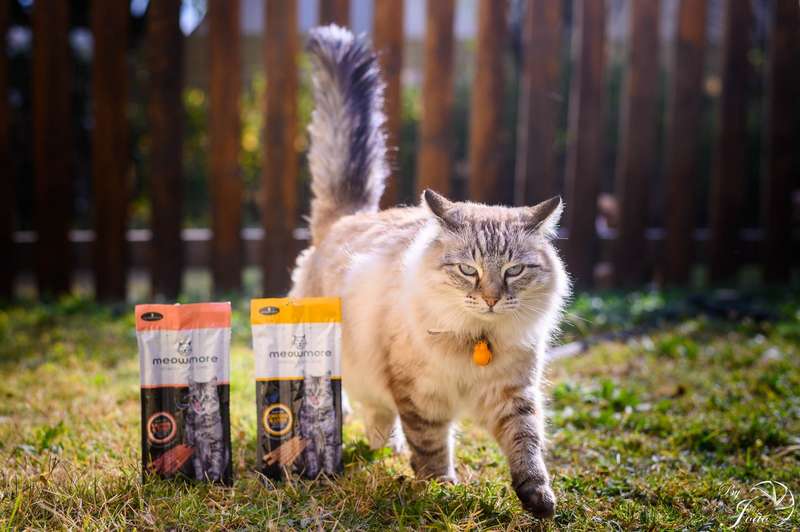 Meow More Cat Treat Sticks (15g)