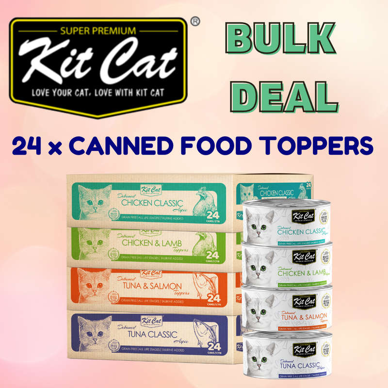 Kit Cat Canned Food Aspic/Toppers Bulk Deal (80g x 24 tins)