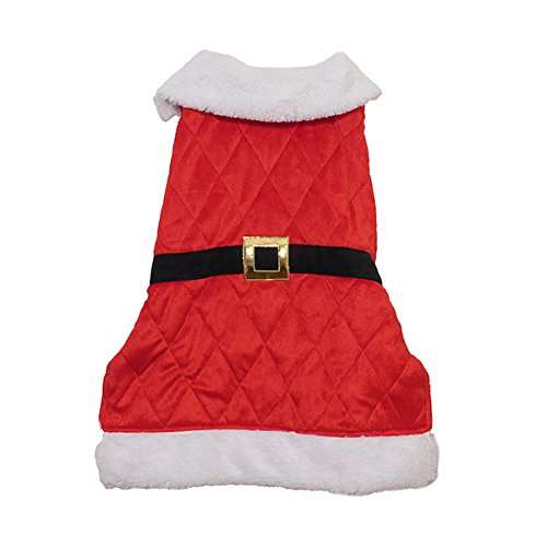 Santa Coat
