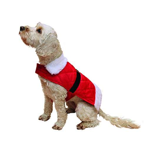 Santa Coat