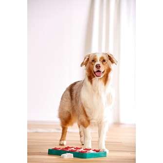 Nina Ottosson Dog Brick Blue