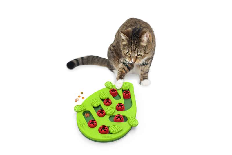 Nina Ottosson Cat Puzzle 'n Play Buggin Out