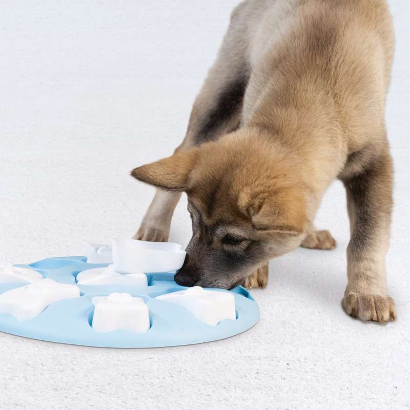 Nina Ottosson Puppy Smart Blue