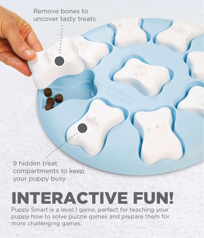Nina Ottosson Puppy Smart Blue