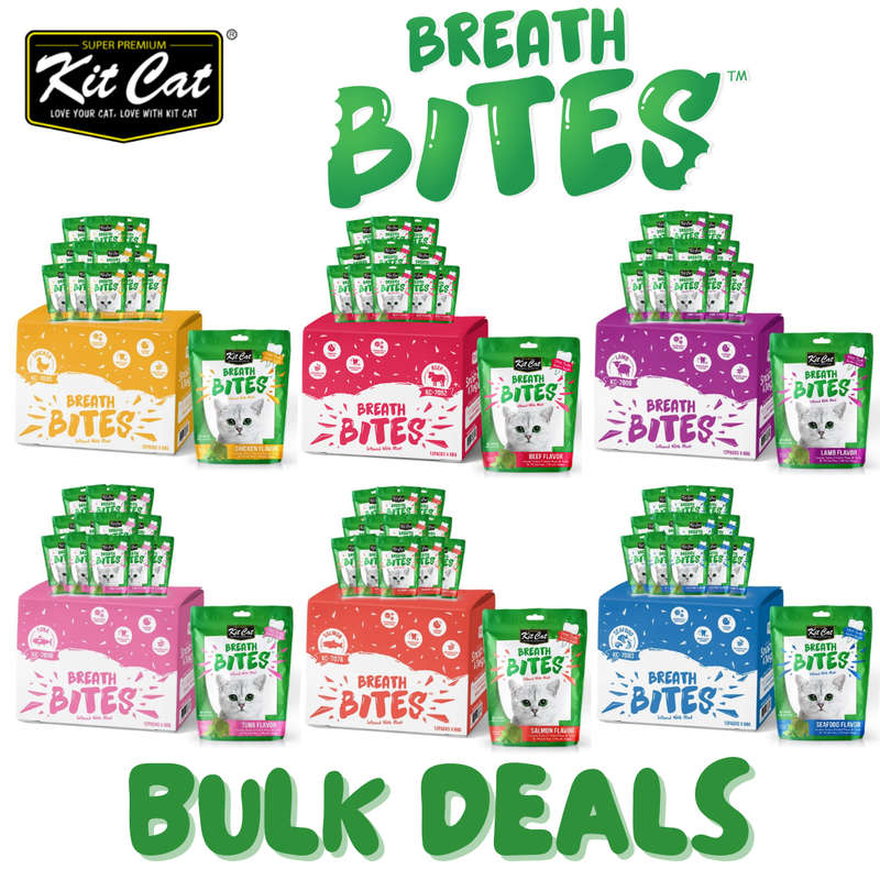 Kit Cat BreathBites Bulk Deal (60g x 12 packs)