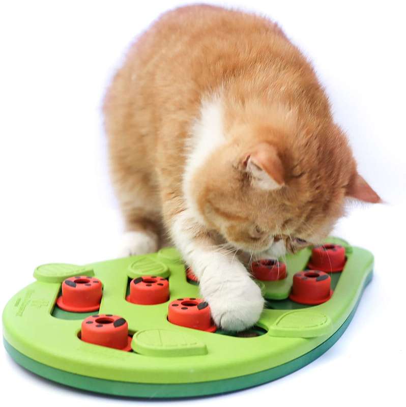 Nina Ottosson Cat Puzzle 'n Play Buggin Out