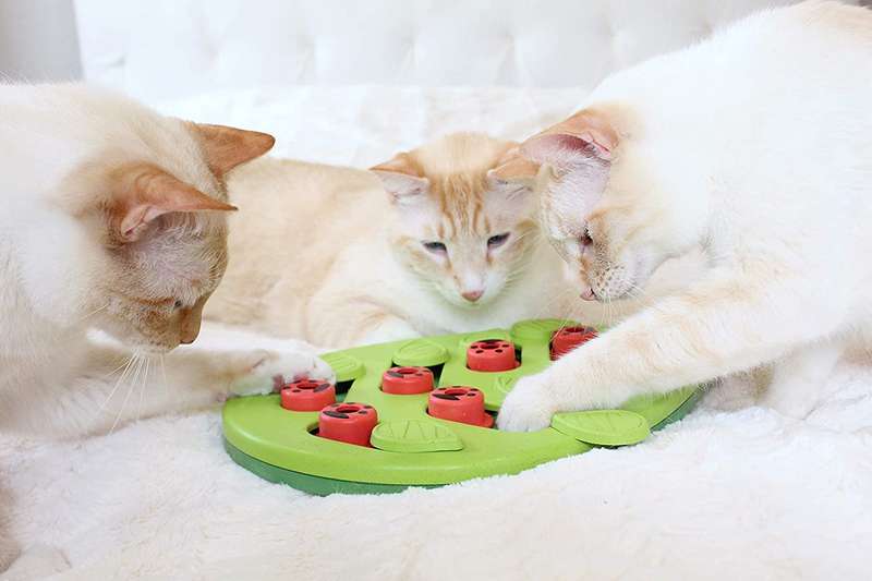 Nina Ottosson Cat Puzzle 'n Play Buggin Out