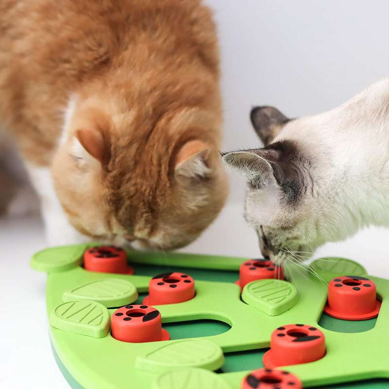 Nina Ottosson Cat Puzzle 'n Play Buggin Out