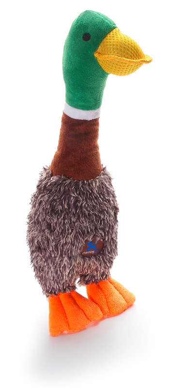 Head Bangerz Duck