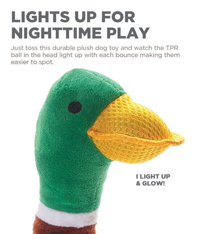Head Bangerz Duck