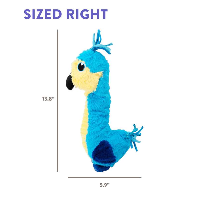 Absurd Burds Macaw