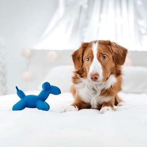 Latex Balloon Dog